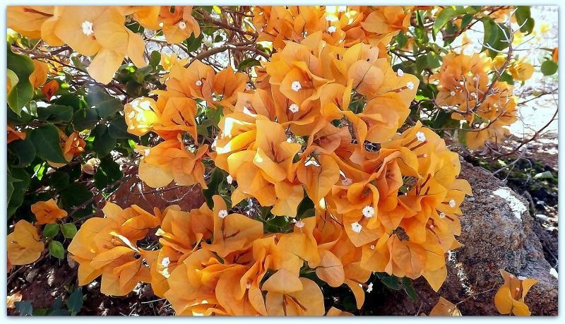 post-231841-0-50491200-1429323313_thumb.