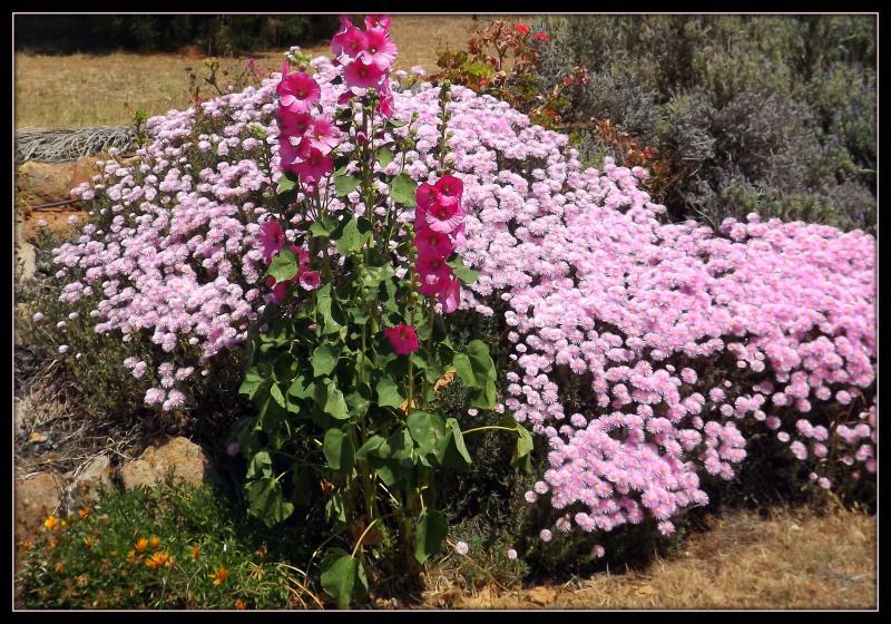 post-231841-0-51350000-1428561953_thumb.