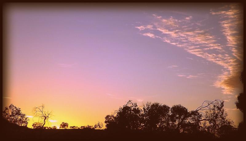 post-231841-0-54176900-1429928936_thumb.