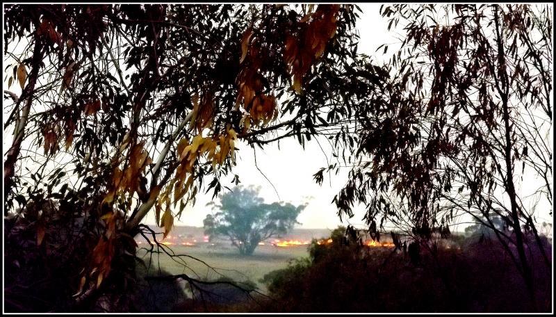 post-231841-0-54511900-1428403487_thumb.