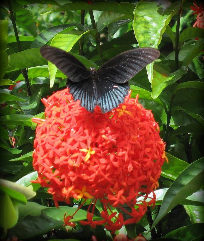 post-231841-0-74598700-1429534952_thumb.