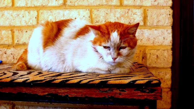 post-231841-0-76524700-1430303639_thumb.