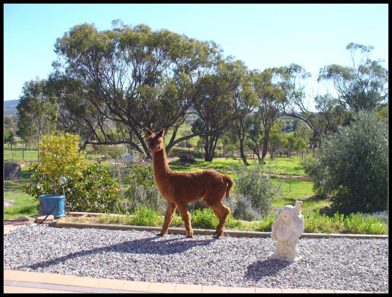 post-231841-0-79501900-1428553916_thumb.