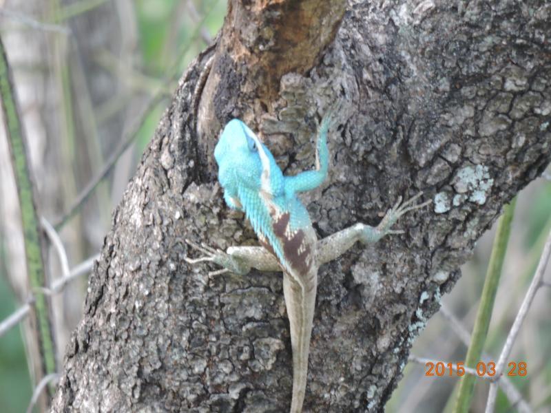 post-26396-0-73789600-1429536049_thumb.j