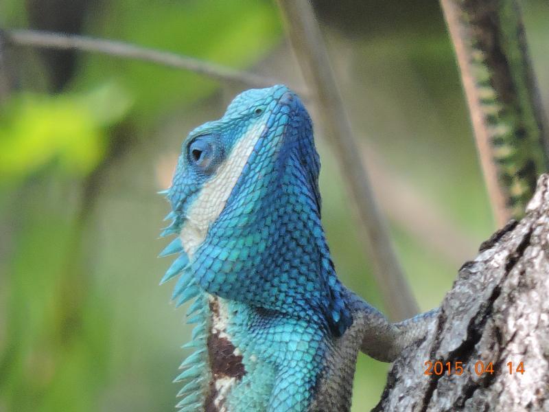 post-26396-0-84692300-1429536096_thumb.j