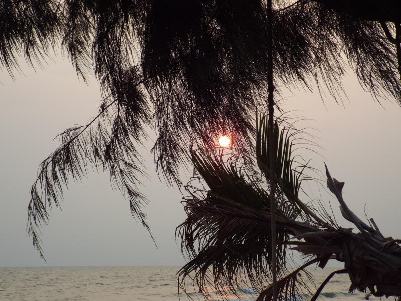 post-32351-0-01330600-1428188380_thumb.j