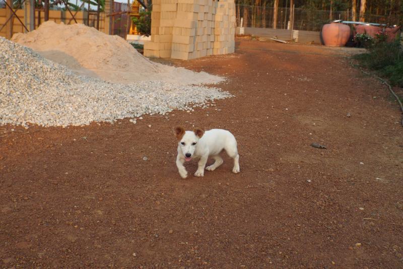 post-32351-0-25115300-1428667979_thumb.j