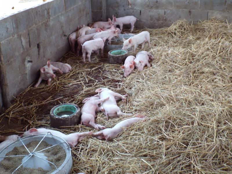 post-32351-0-37133400-1427875025_thumb.j