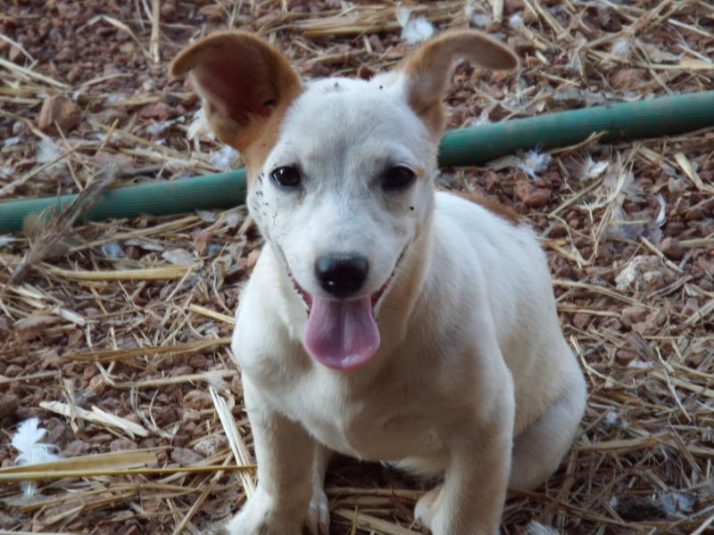 post-32351-0-44290300-1428188135_thumb.j