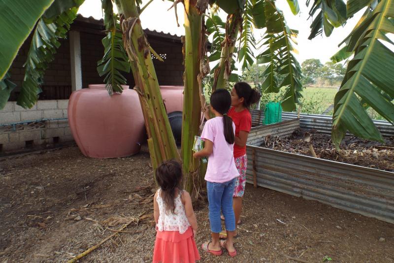 post-32351-0-48012600-1428667917_thumb.j