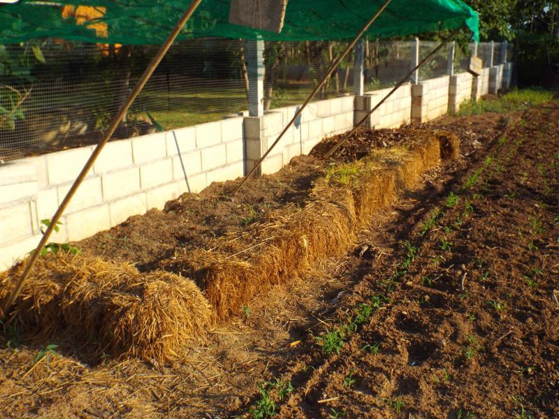 post-32351-0-53019300-1428188693_thumb.j