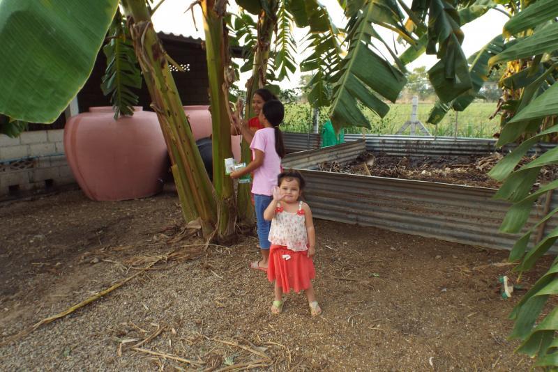 post-32351-0-60681200-1428667853_thumb.j