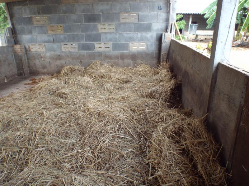 post-32351-0-70247100-1427874956_thumb.j