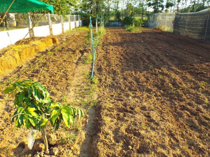 post-32351-0-72860100-1428188794_thumb.j