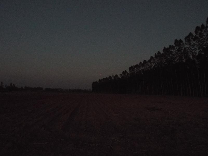 post-32351-0-81711600-1428203355_thumb.j