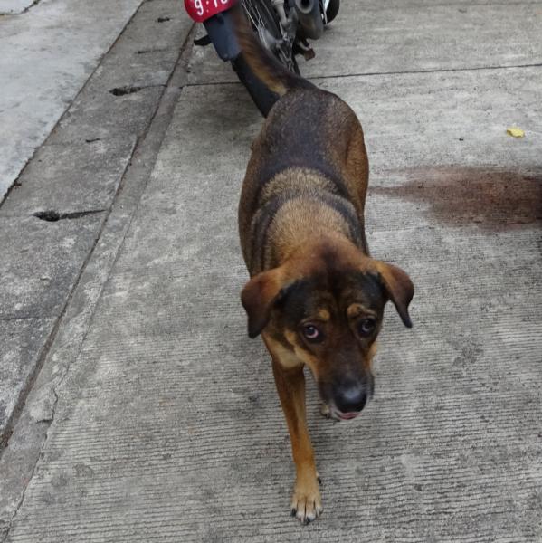 post-35489-0-03039700-1429896855_thumb.j