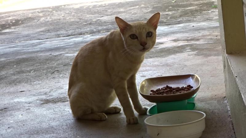 post-35489-0-85634900-1429630897_thumb.j