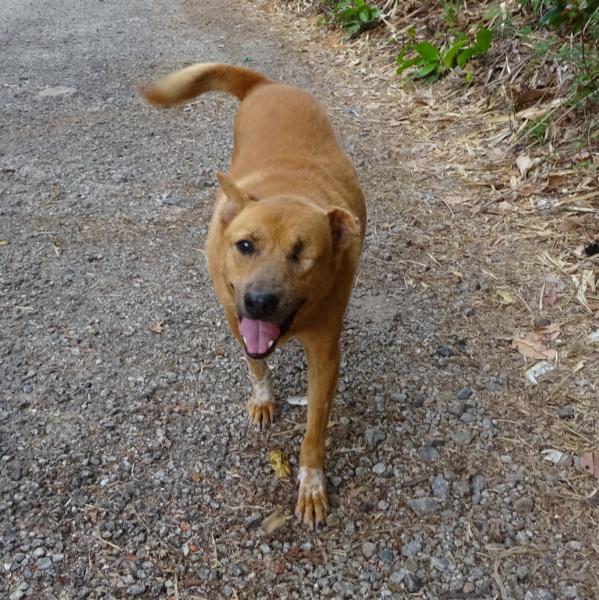 post-35489-0-99252500-1429896416_thumb.j