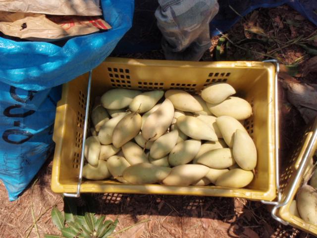 post-63954-0-00720600-1429531095_thumb.j