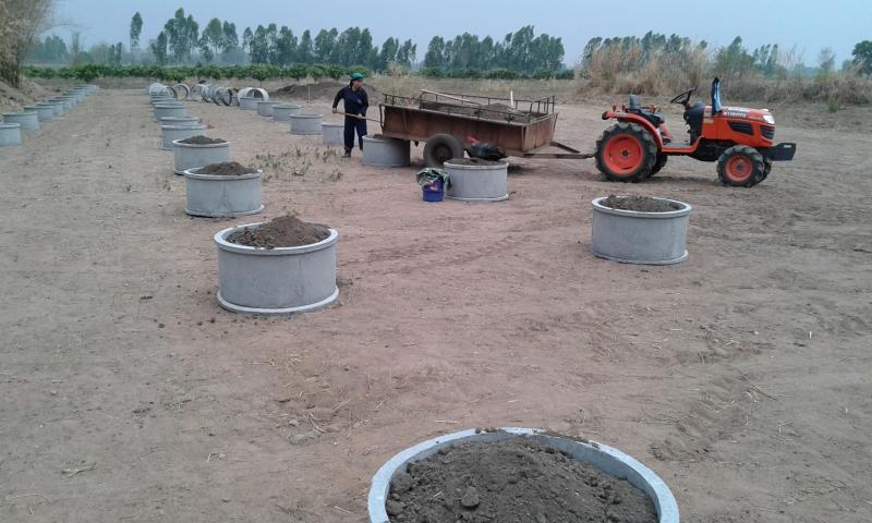 post-63954-0-14012900-1429530557_thumb.j