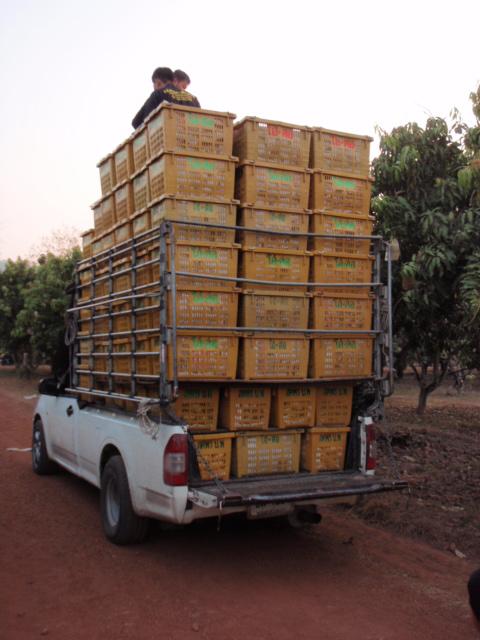 post-63954-0-32675000-1429530971_thumb.j