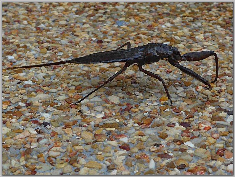 post-9958-0-34871400-1429162756_thumb.jp