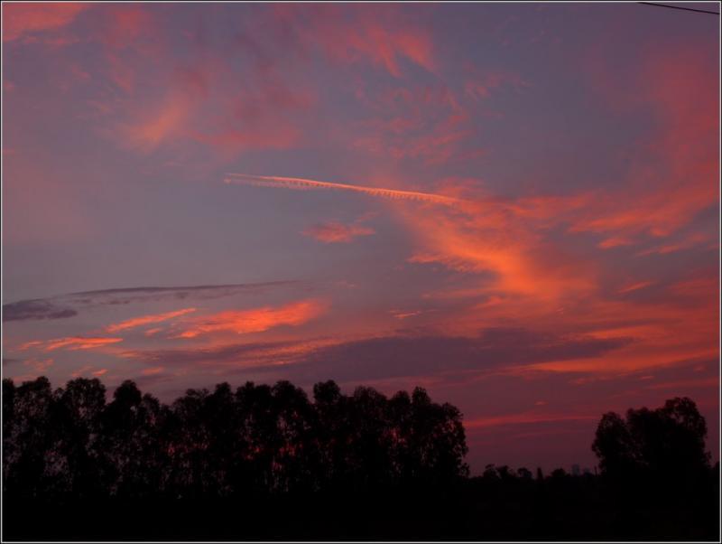 post-9958-0-53028500-1429935079_thumb.jp