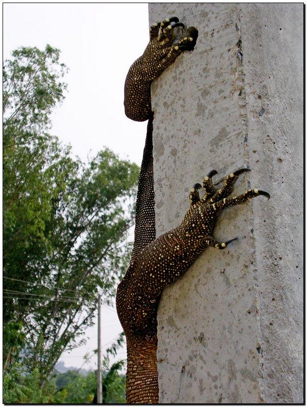 post-9958-0-54194600-1429253131_thumb.jp