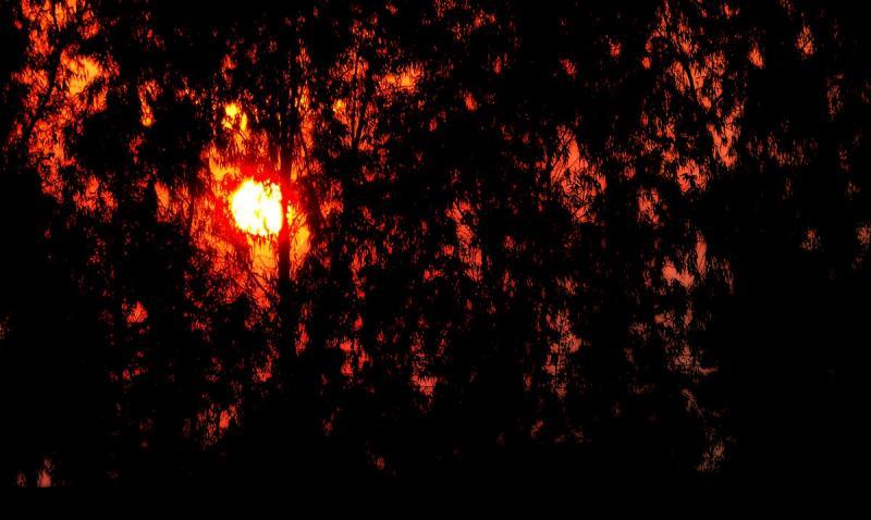 post-9958-0-54227000-1428672964_thumb.jp