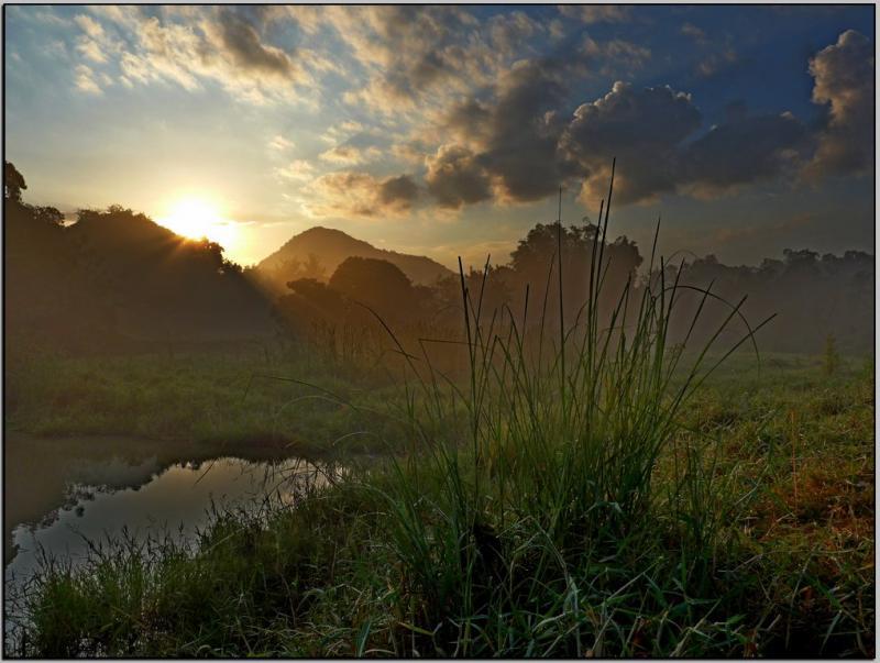 post-9958-0-76196500-1429442748_thumb.jp