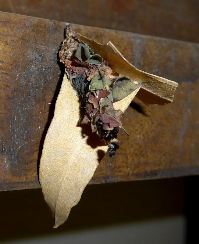 post-9958-0-81798100-1428836238_thumb.jp