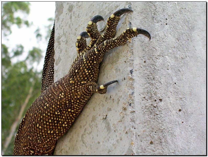 post-9958-0-85222500-1429253144_thumb.jp