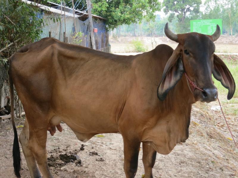 post-1136-0-32048800-1461054427_thumb.jp