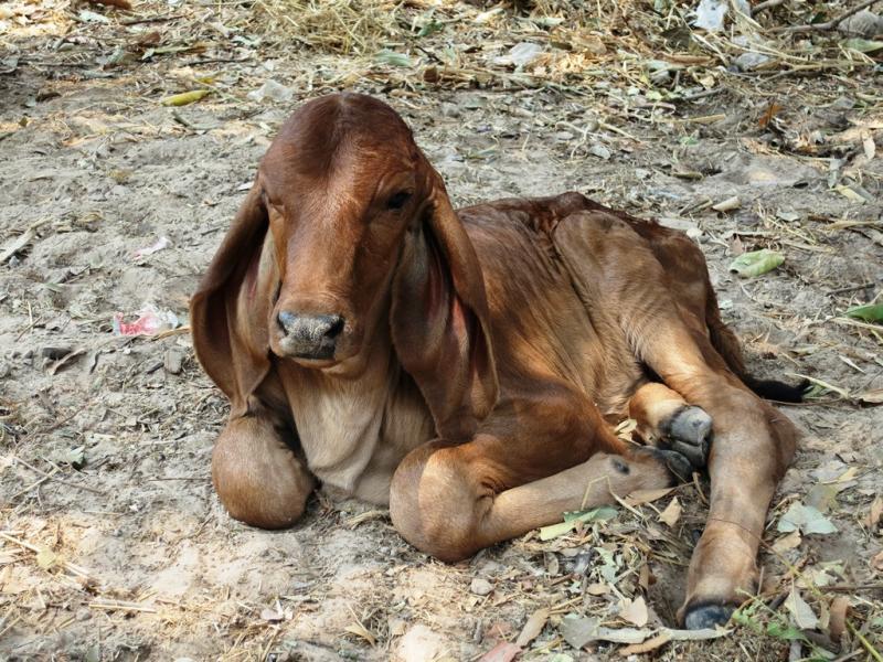 post-1136-0-34308200-1461054274_thumb.jp