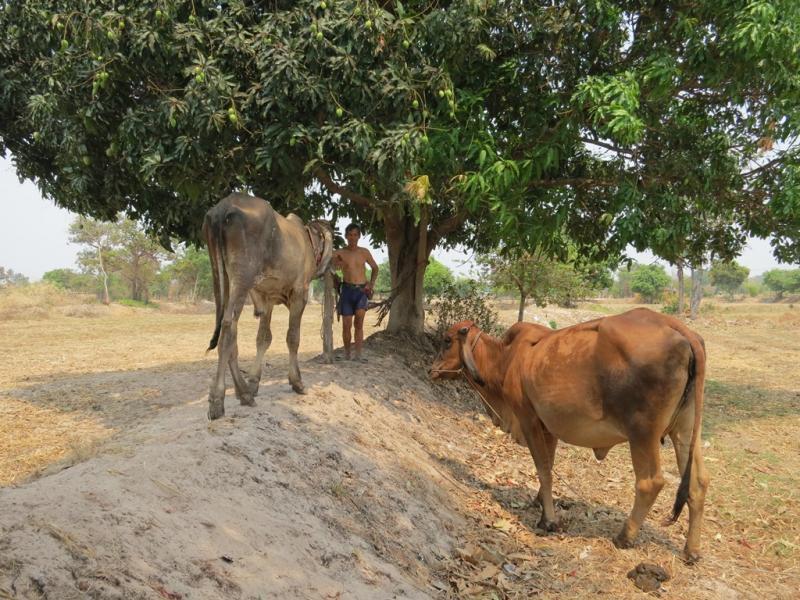 post-1136-0-50142300-1461054404_thumb.jp