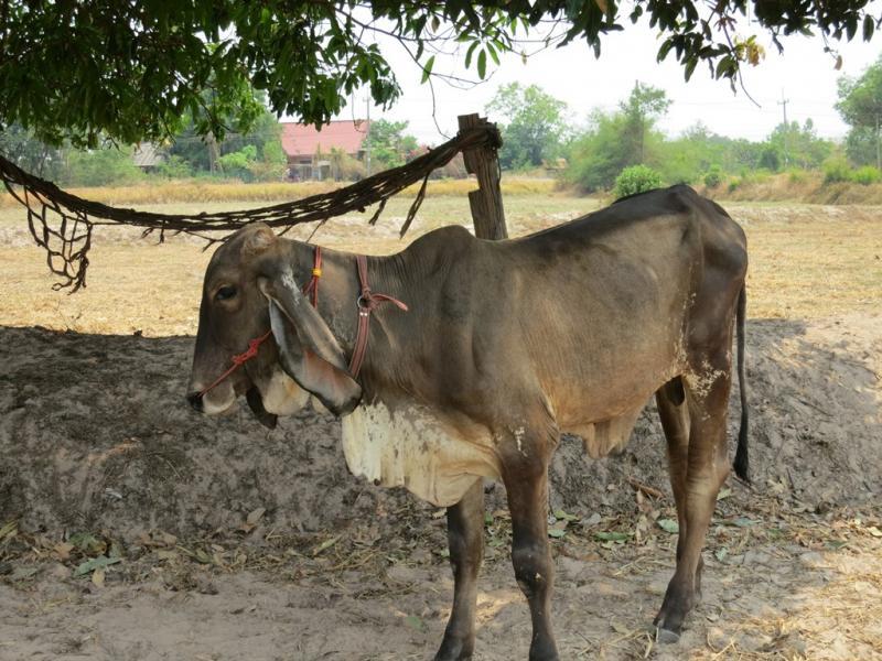 post-1136-0-52228000-1461054332_thumb.jp