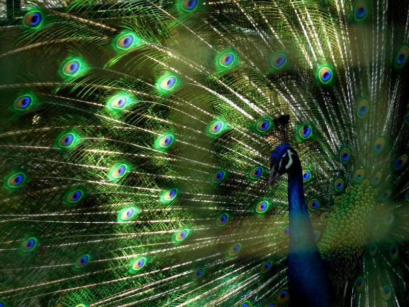 post-119985-0-17057200-1459598772_thumb.