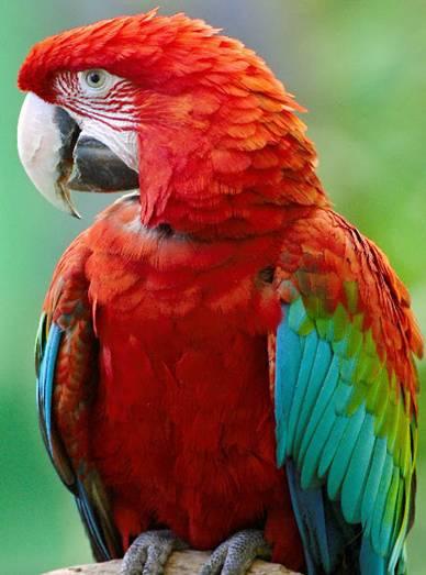 post-140056-0-87600400-1461133269_thumb.