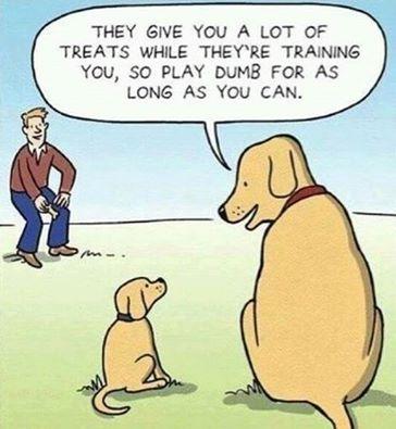 post-155756-0-85714300-1459768024_thumb.