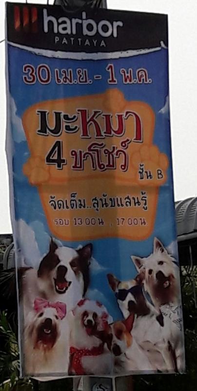 post-167660-0-58712600-1461936929_thumb.