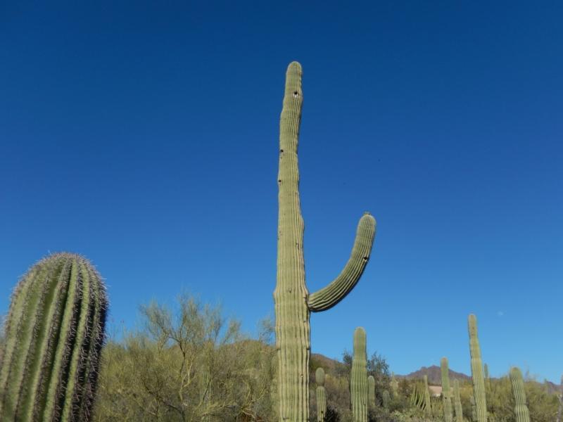 post-175700-0-74736100-1461037004_thumb.