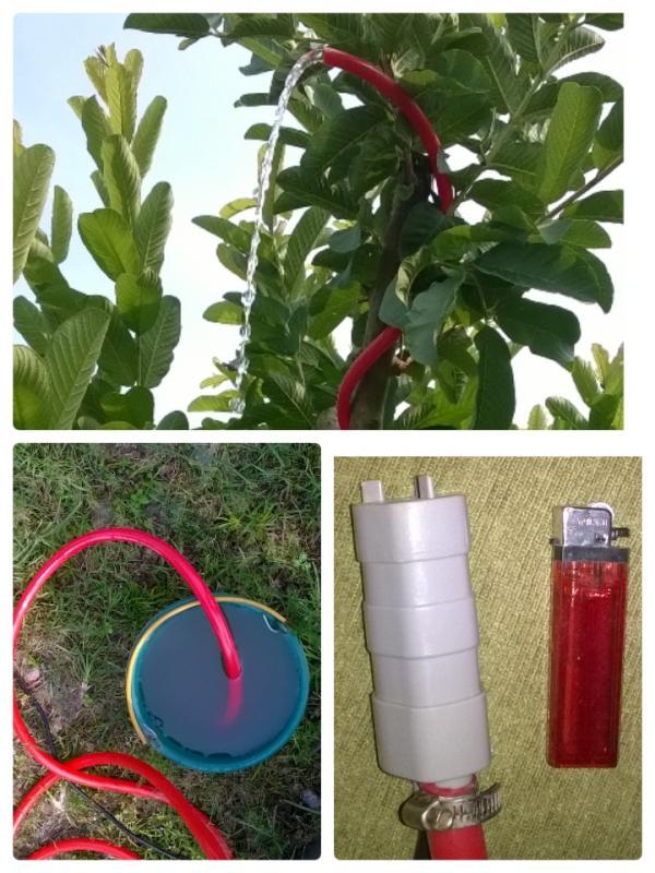 post-177483-0-21753200-1461899009_thumb.