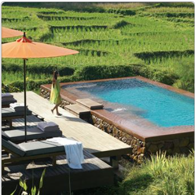 post-177483-0-53250900-1460729795_thumb.