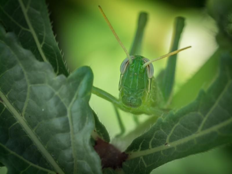 post-185776-0-13998900-1460367476_thumb.