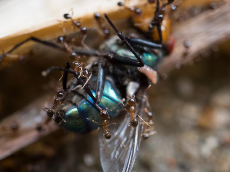 post-185776-0-71382800-1460191060_thumb.