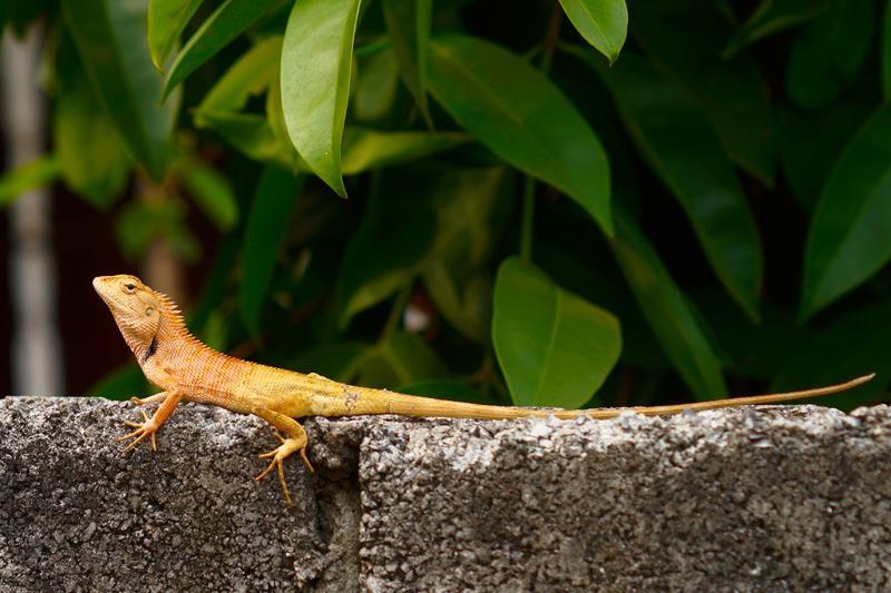 post-228573-0-23696700-1460205718_thumb.