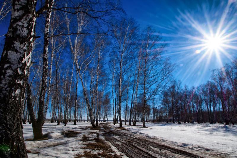 post-228573-0-69312000-1460205026_thumb.