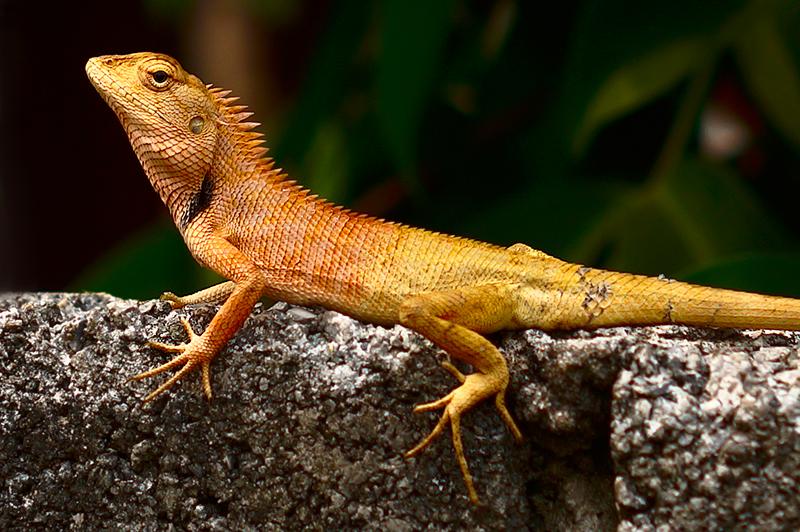 post-228573-0-71214300-1460201235_thumb.