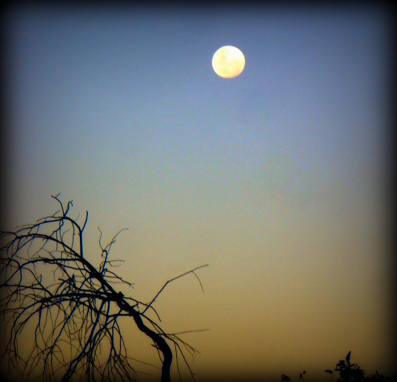 post-231841-0-27033100-1461246195_thumb.