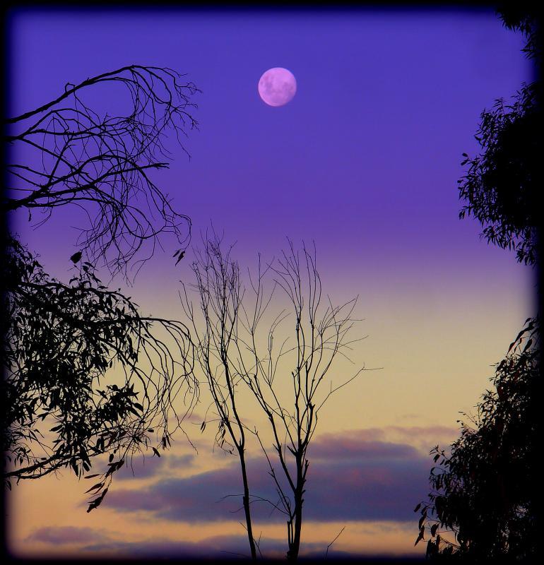 post-231841-0-62811800-1461246280_thumb.